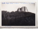 Bnk foto Hasmasul Mare - Piatra singuratica - 1965, Alb-Negru, Romania de la 1950, Natura