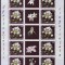 Wallis si Futuna 2005 flori orhidee MI 918 kleib. MNH