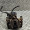 Etrier de fr&acirc;nă dreapta spate AUDI A3 Sportback 8VA, 8VF 2016 OEM: Hatchback | 30725659