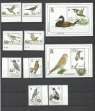 TURKS AND CAICOS 1993 FAUNA PASARI