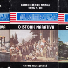 America. O Istorie Narativa Vol. 1-3 - George Brown Tindal David E. Shi ,555768