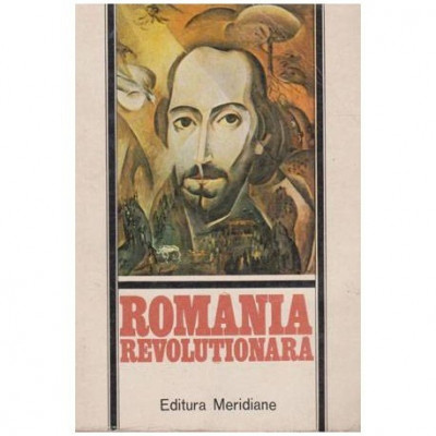 - Romania revolutionara (Revolutia de la 1848 si artele plastice) - 103508 foto
