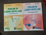 Ion Petrica - Probleme de algebra pentru liceu VOL II+III RF24/1