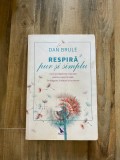 Dan Brule - Respira pur si simplu