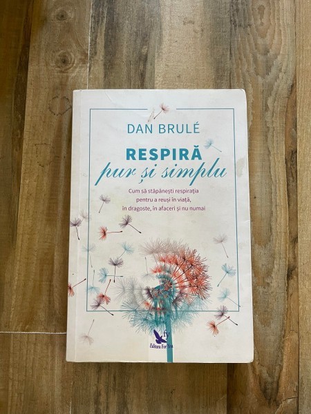 Dan Brule - Respira pur si simplu
