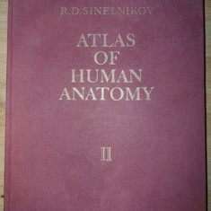 Atlas of human anatomy 2- R. D. Sinelnikov