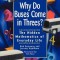 Why Do Buses Come in Threes: The Hidden Mathematics of Everyday Life