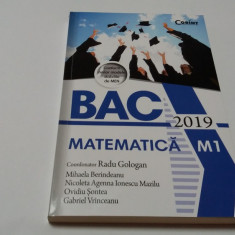 Bacalaureat 2019. Matematica M1 - Radu Gologan, Mihaela Berindeanu RF12/0