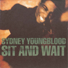 Sydney Youngblood - Sit And Wait (1989, Virgin) Disc vinil single 7&amp;quot; foto