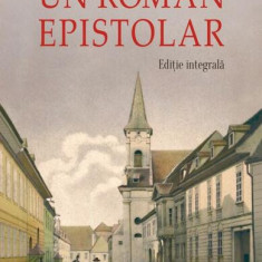 Un roman epistolar - Paperback brosat - Ion Negoițescu, Radu Stanca - Polirom
