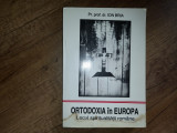 ORTODOXIA IN EUROPA, LOCUL SPIRITUALITATII ROMANE, Ion Bria, 1995