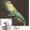 (No2) ilustrata maxima-Crustaceu planctonic