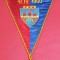 Fanion de colectie (brodat) - CSM CLUJ (17.04.1960)