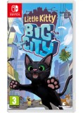 Little Kitty Big City NSW