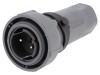 Conector Circular Tata BULGIN Buccaneer 7000, 2 Pini, IP69K, Montare pe Cablu, Termoplast, 25A, 600V