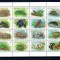 Christmas Island 1988 - Fauna, animale, KLB neuzat