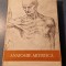 Anatomie artistica volumul 2 Gh. Ghitescu
