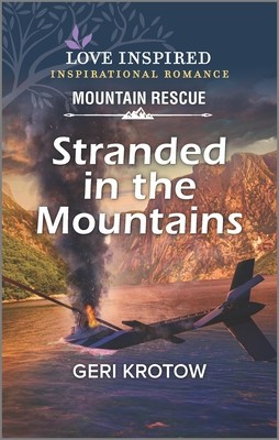 Stranded in the Mountains foto