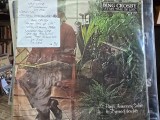 Vinil Bing Crosby, At my time of life