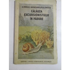 CALAUZA EXCURSIONISTULUI IN PADURE - A. POPOVICI-BAZNOSANU, M.A. IONESCU- 1937