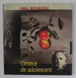 CINTECE DE ADOLESCENT 1957 -1958 de EMIL BRUMARU , cu cinsprezece desene de ADRIANA LUCACIU , 2007