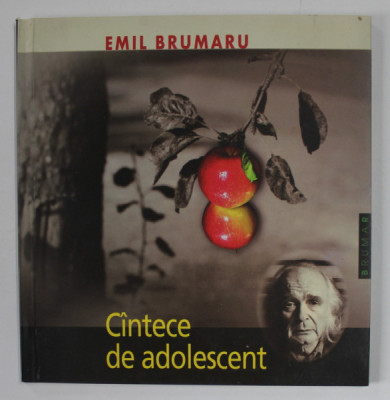 CINTECE DE ADOLESCENT 1957 -1958 de EMIL BRUMARU , cu cinsprezece desene de ADRIANA LUCACIU , 2007 foto