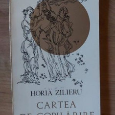 Cartea de copilarire- Horia Zilieru CU AUTOGRAF