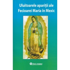 Uluitoarele aparitii ale Fecioarei Maria in Mexic