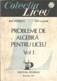 Probleme de algebra pentru liceu (volumul 1) - Ion Petrica