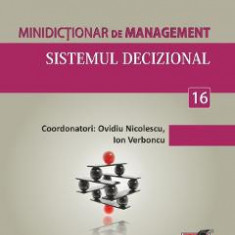 Minidictionar de management 16: Sistemul decizional - Ovidiu Nicolescu