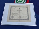 Regalitate, BREVET MEDALIA JUBILIARA CAROL I ,EXCEPTIONAL