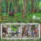 BELARUS 2014, Fauna, serie neuzata, MNH, carnet