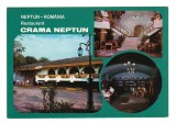 CPIB 18551 FELICITARE - NEPTUN. RESTAURANT CRAMA NEPTUN, MOZAIC, Necirculata, Fotografie
