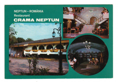 CPIB 18551 FELICITARE - NEPTUN. RESTAURANT CRAMA NEPTUN, MOZAIC foto