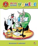 Cumpara ieftin Ma joc si invat. Numere/***