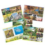 Set 5 Caiete Biologie Geografie A5, 16 File, Coperta Policromie, Hartie 60g