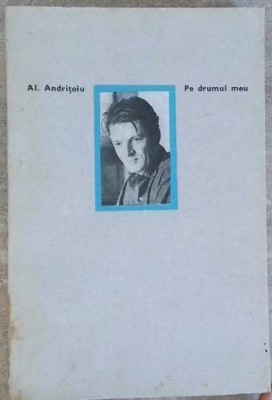 PE DRUMUL MEU-ALEXANDRU ANDRITOIU-258855 foto