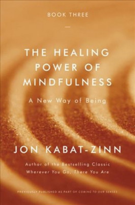 The Healing Power of Mindfulness: A New Way of Being foto
