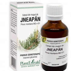 Extract din muguri de jneapan 50ml