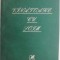 Vanatoare cu soim &ndash; Stefan Aug. Doinas
