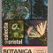 C8426 BOTANICA DISTRACTIVA DE TUDOR OPRIS