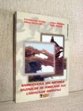 Sarmatianul din Sistemul de Foreland ale Carpatilor Orientali - Constantin Grasu, 2002, Tehnica
