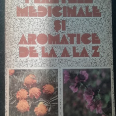 myh 545s - PLANTELE MEDICINALE SI AROMATICE DE LA A LA Z - O BUJOR-M ALEXAN- 984