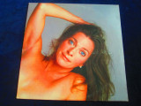 Juddy Collins - Hard Times For Lovers _ vinyl,LP _ Elektra ( 1979, SUA ), VINIL, Rock