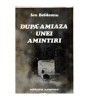 Ion Beldeanu - Dupa - amiaza unei amintiri - 115509, George Calinescu