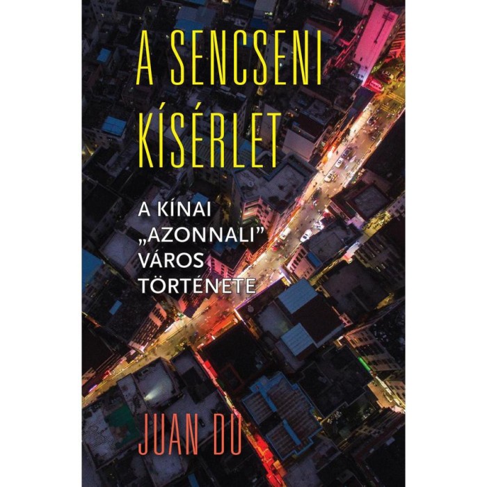 A sencseni k&iacute;s&eacute;rlet - A k&iacute;nai &quot;azonnali&quot; v&aacute;ros t&ouml;rt&eacute;nete - Juan Du