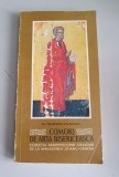 Comori de arta bisericeasca - Teodora Voinescu