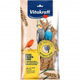 Cumpara ieftin Supliment alimentar pentru pasari, Vitakraft Vitanature Spice Mei, 100 g