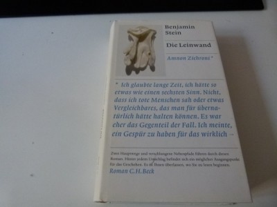 Die Leinwand - Benjamin Stein foto