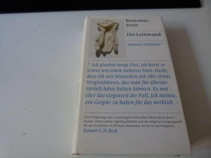 Die Leinwand - Benjamin Stein